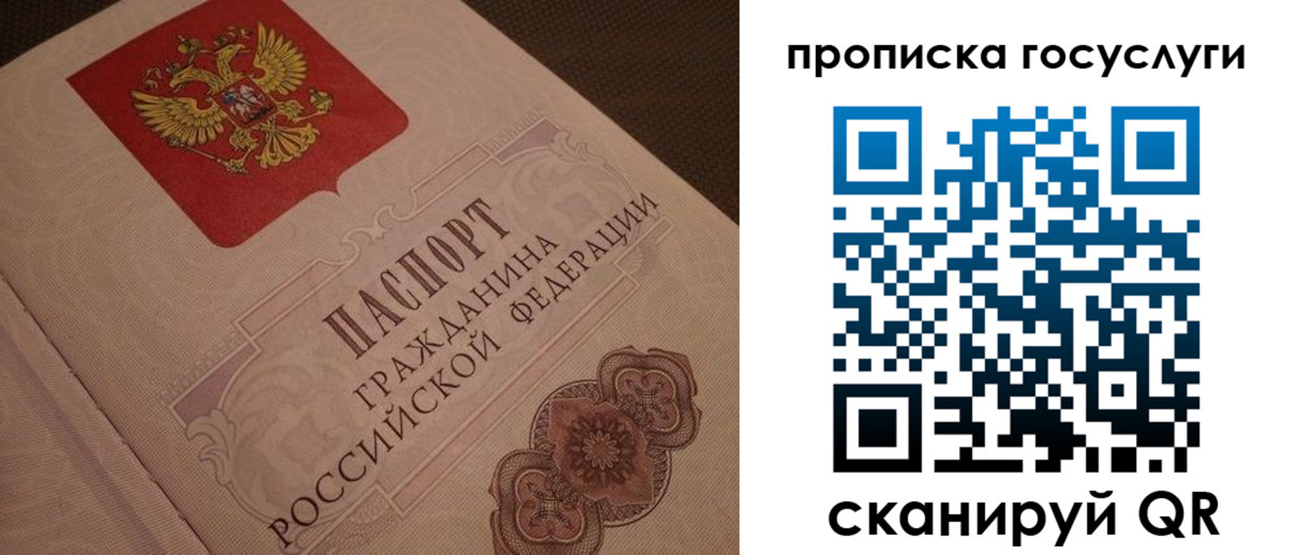 прописка для работы в Сертолово