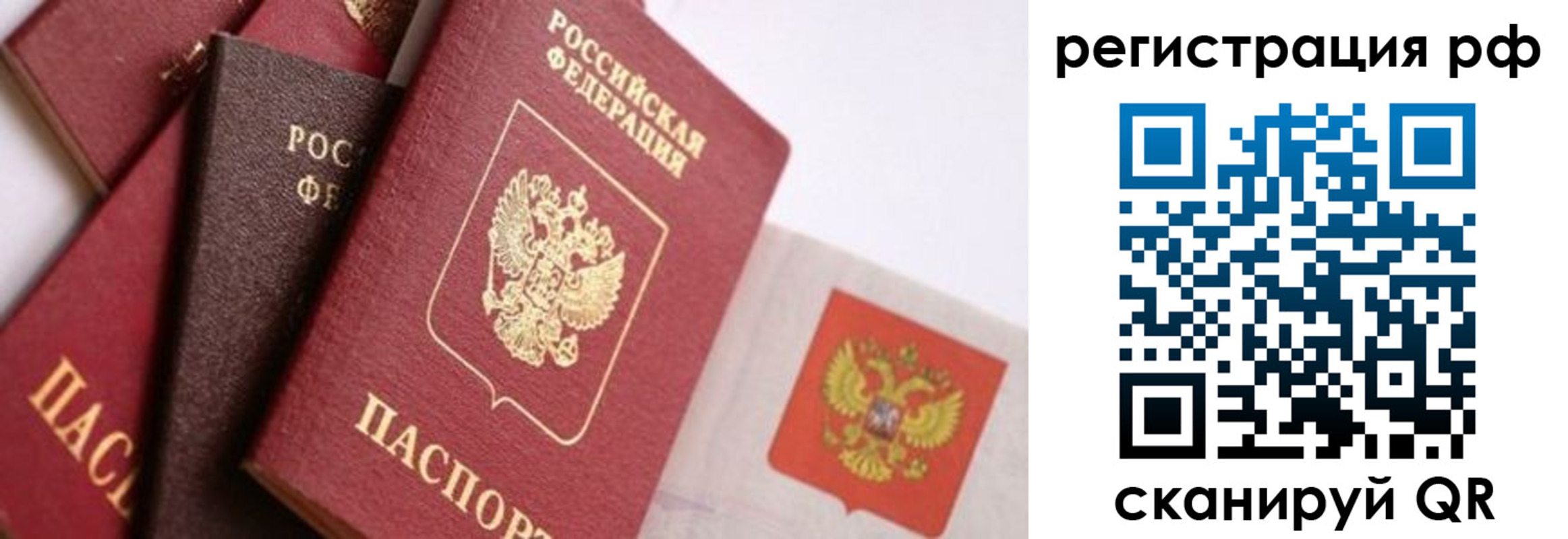 временная регистрация госуслуги в Сертолово